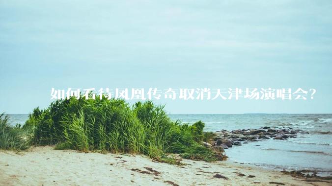 如何看待凤凰传奇取消天津场演唱会？